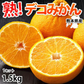 デコポン 同品種 訳ありデコみかん 1.5kg 送料無料 熊本県産 フルーツ みかん ミカン 蜜柑