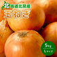 【終了】【10月中旬より順次出荷予定】北見産 玉ねぎ 5kg
