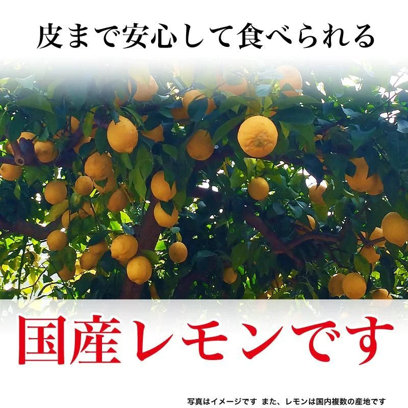 【超シェア買い祭】国産 輪切り レモン 200g×1袋 ドライフルーツ 砂糖あり