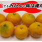 【最安値挑戦祭】みかん 訳あり 送料無料 5kg B品 愛媛 みかん 温州みかん ミカン 蜜柑 安い 甘い 箱買い 産地直送 愛媛県産 YDF-001