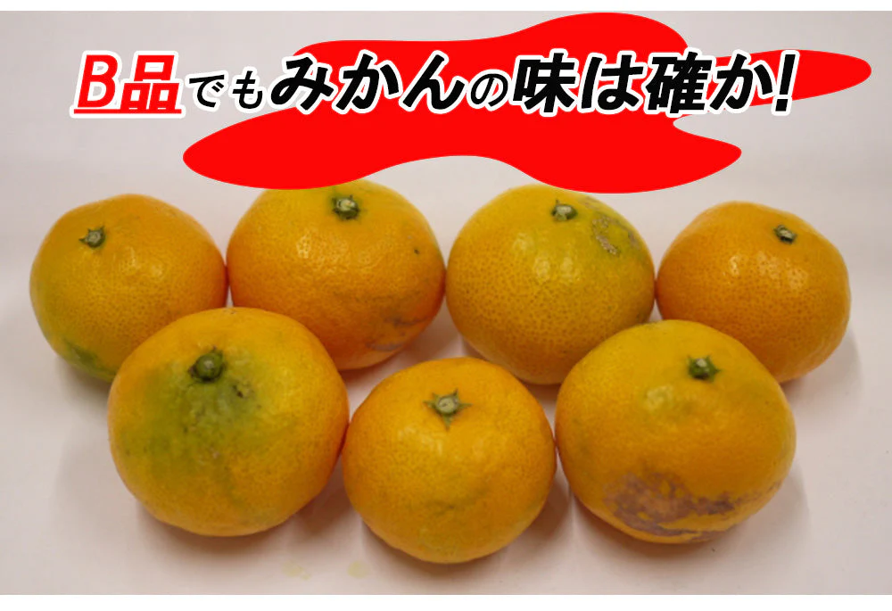 【最安値挑戦祭】みかん 訳あり 送料無料 5kg B品 愛媛 みかん 温州みかん ミカン 蜜柑 安い 甘い 箱買い 産地直送 愛媛県産 YDF-001