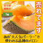 ＜数量限定＞【1玉入り】訳あり 富良野産赤肉メロン ｜ 中玉（1玉1.6kg以上） 送料無料【ゲリラセール】