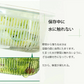 【グリーン スリム】ザル付き保存容器 ベジマジシリーズ あらう 野菜保存容器 冷蔵庫 水切り 洗う ザル ボウル セット 蓋付き おしゃれ