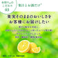 キリン 本搾り グレープフルーツ 350ml×2ケース /48本 YTR