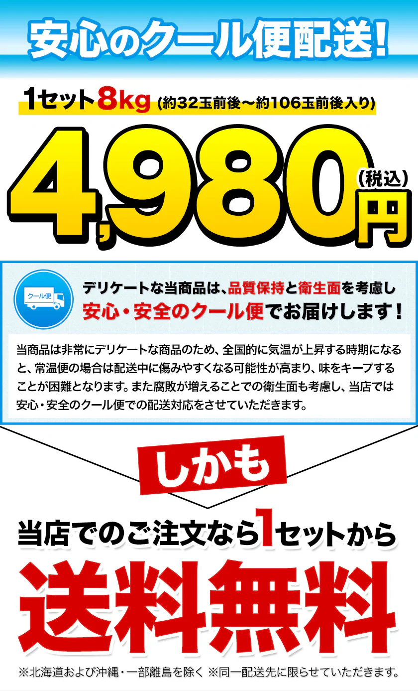 デコみかん たっぷり 8kg みかん 訳あり クール便 不知火 ミカン 熊本県産 デコポン と同品種 熊本 柑橘 美味しい みかん 産地直送 箱 でこ mikann くまもと風土 《1-5営業日以内に頃より発送予定》