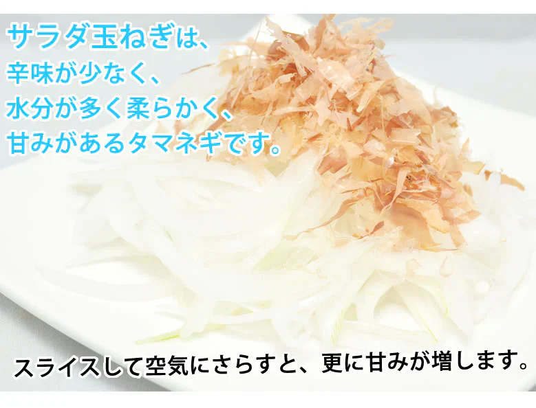 玉ねぎ サラダ玉ねぎ 10kg 送料無料 新玉 S～L 熊本県産 玉葱 たまねぎ 野菜