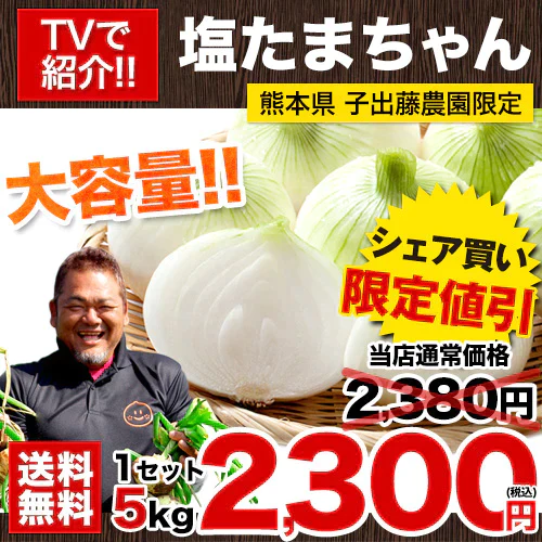 熊本県産 訳あり 塩たまちゃん 玉ねぎ たまねぎ 5kg 【5L-2Sサイズ不選別】 子出藤 (ねでふじ)さん 送料無料 塩タマネギ 新たまねぎ 塩玉ちゃん 塩玉 お取り寄せ お取り寄せグルメ《7-14営業日以内に出荷(土日祝除く)》