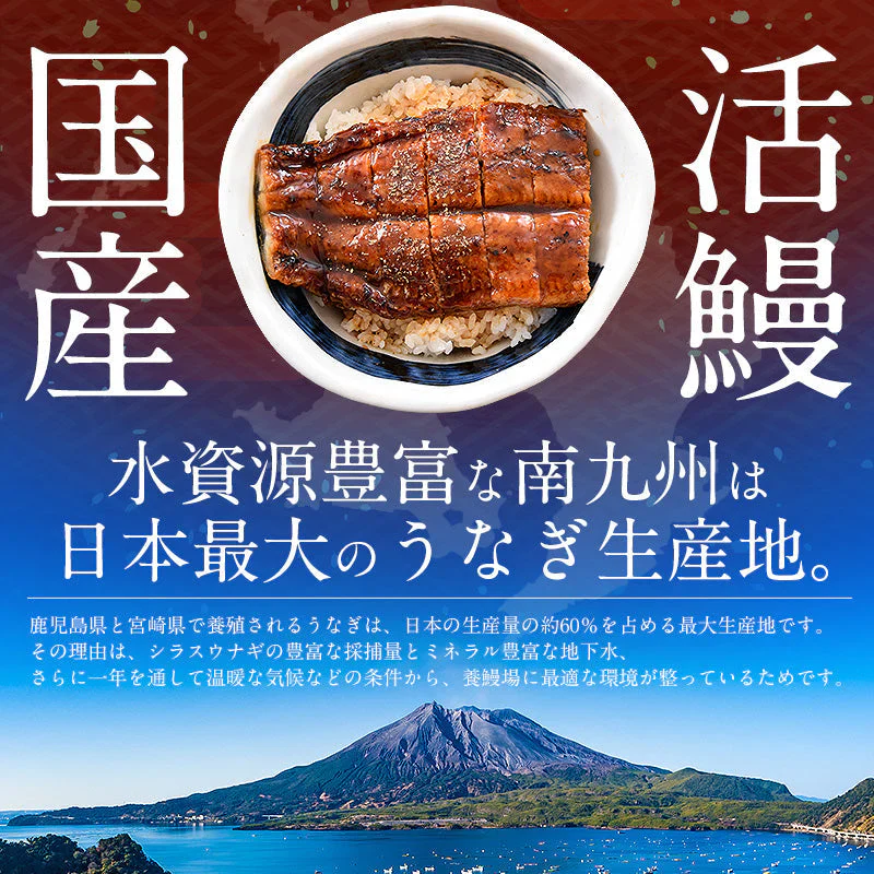 うなぎ 蒲焼き 無頭 国産 特大サイズ 約200g×2