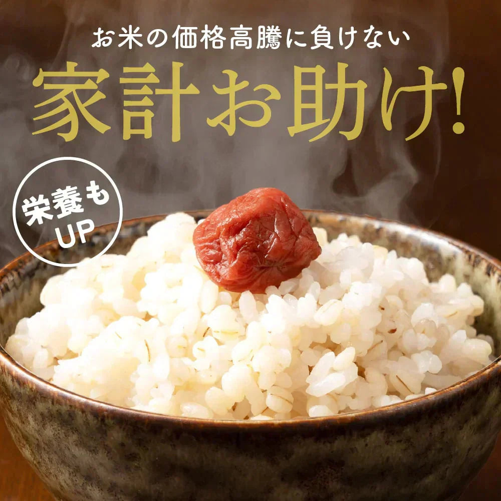 雑穀 雑穀米 国産 家計お助け米 丸麦ミックス 10kg(1kg×10袋)