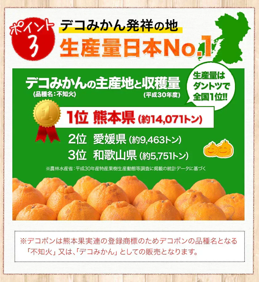 訳あり デコみかん 約5kg (5kg＋不良果保証250g) 送料無料 不知火 みかん ミカン 熊本県産 訳あり デコポン と同品種 熊本 柑橘 目玉商品 くまもと風土《7-14営業日以内に発送予定(土日祝除く)》
