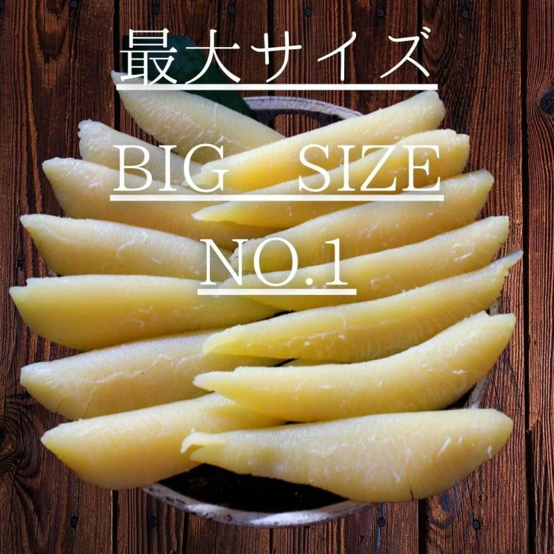 500g 1本物 天然 塩数の子 アラスカ産 特大サイズ
