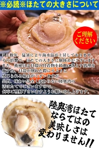 青森 活ほたて 殻付き 中大2キロ（約12枚～18枚）【冷蔵便】 養殖　奇跡の海『むつ湾』からホタテ漁師が贈る逸品