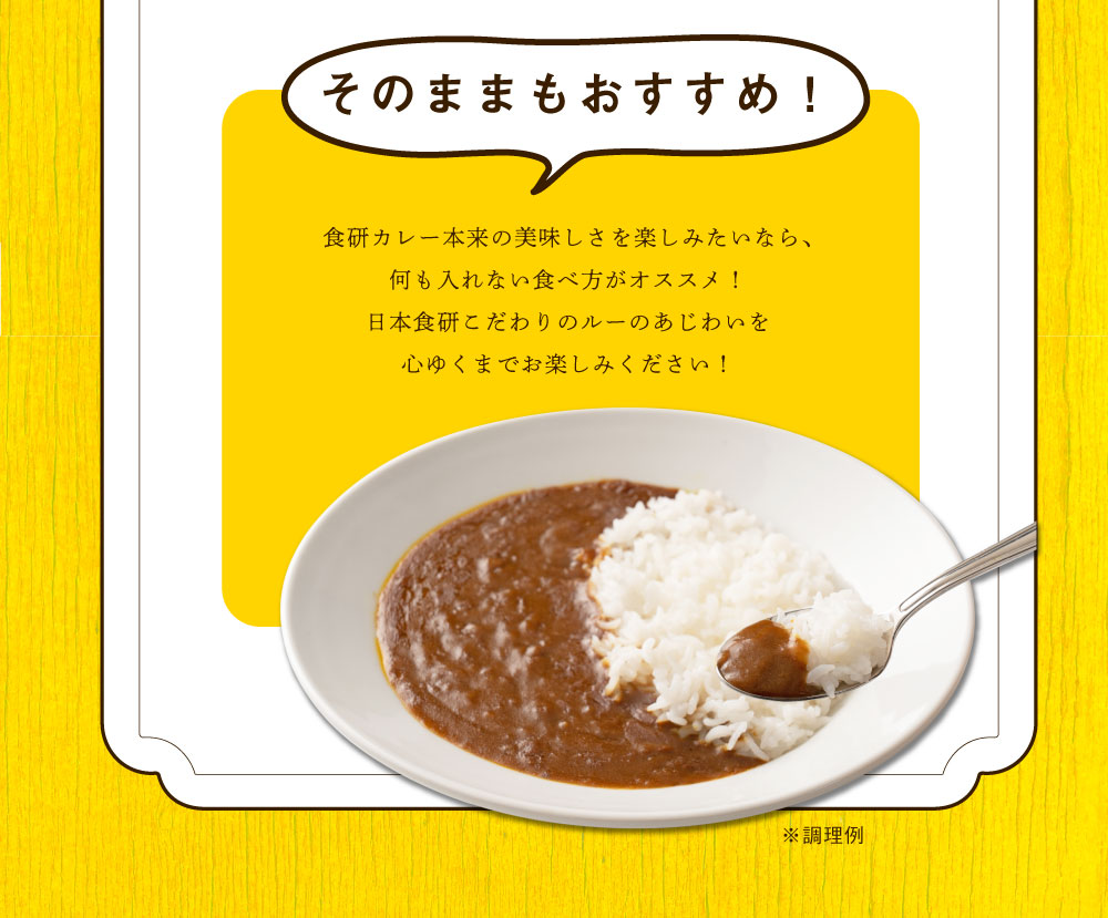 食研カレー 4食 (200g×4) 日本食研 中辛 送料無料 レトルトカレー 非常用 防災 備蓄 フード
