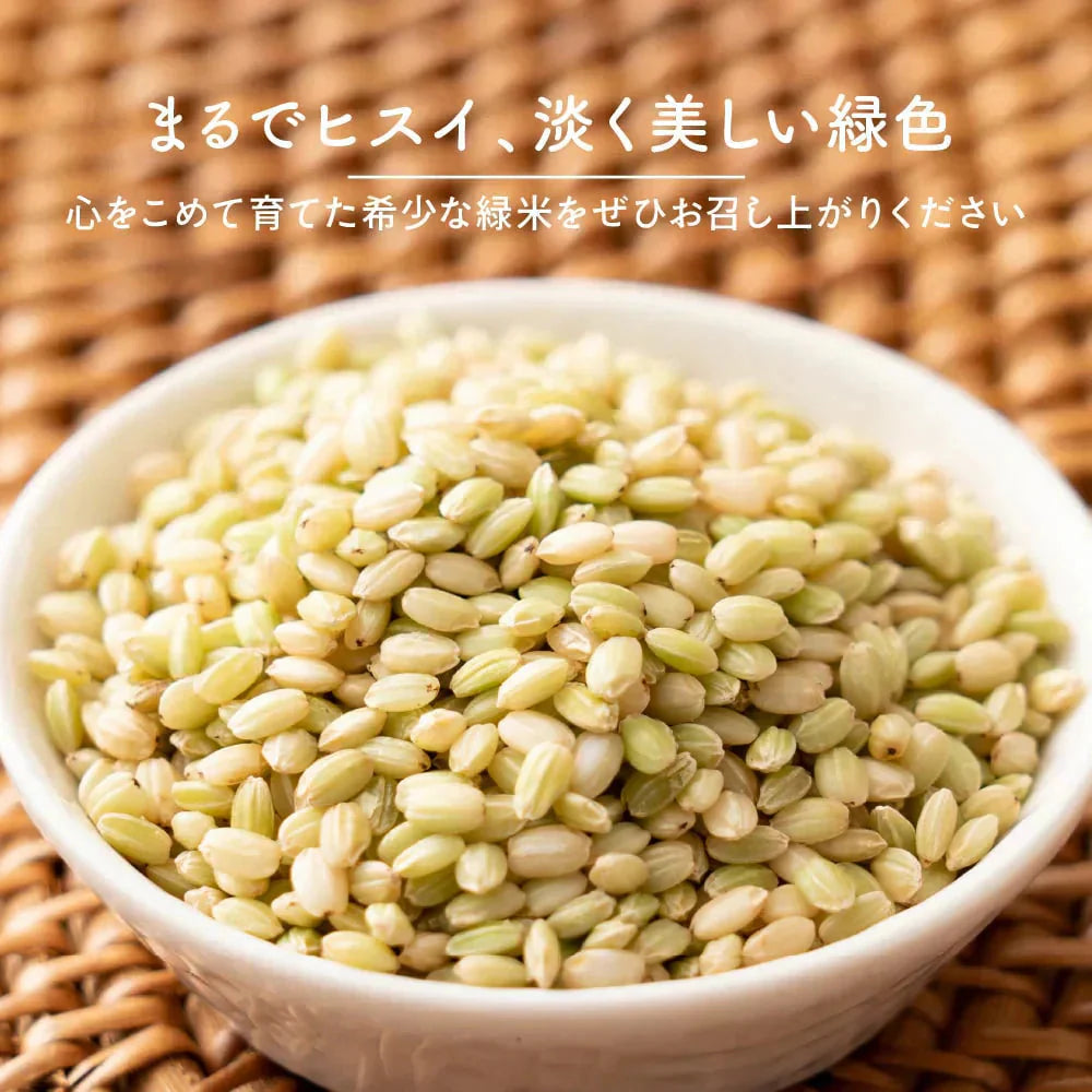 雑穀 雑穀米 国産 緑米 800g(400g×2袋) 定番サイズ 無添加 無着色 送料無料 古代米 みどりまい