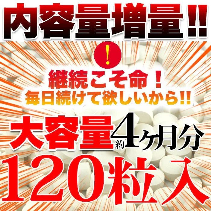【メガ盛り大容量4ヵ月分・黒セサミン＋スタミナ】 サプリ 約4ヶ月分 一粒に黒ゴマ約3000粒分を凝縮 TVCMで話題成分 元気活力系サプリメント 水溶性食物繊維 セサミン スッポン ツバメの巣エキス マカ ごま 活力 元気 おすすめ 人気 ランキング 効果 強力 最強 通販 日本製 国産 健康サプリ 健康食品