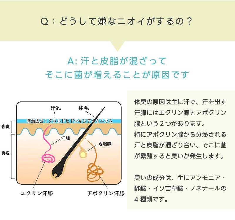 2本購入で+1本無料 ワキガ クリーム デオドラント 強力 医薬部外品 子供 わきが 制汗剤 わきが すそわきが 脇汗 ワキ汗 顔 におい 対策 薬用セルキュレイト 薬用デオドラントクリーム 送料無料