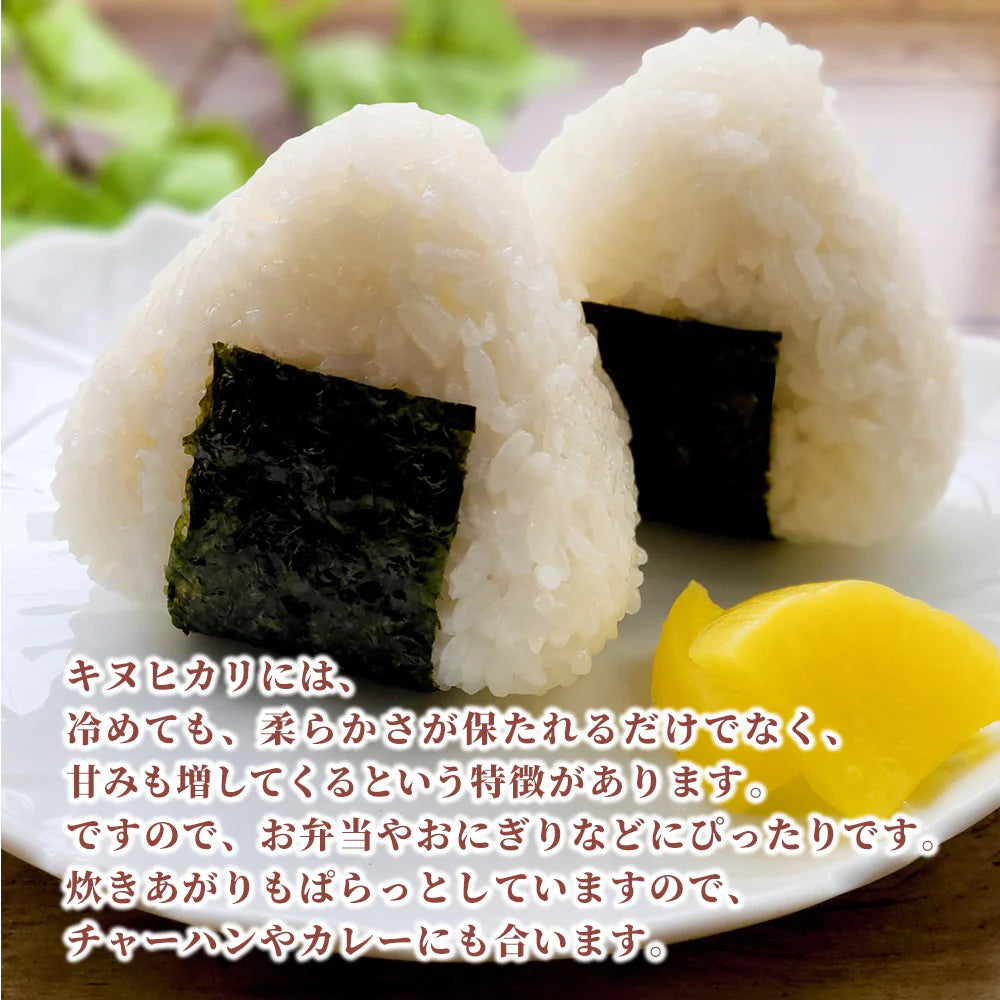 【白米】兵庫県産 キヌヒカリ 20kg(5kg×4袋) 精白米 国産 国産キヌヒカリ100％ 送料無料 精米工場からの直送品