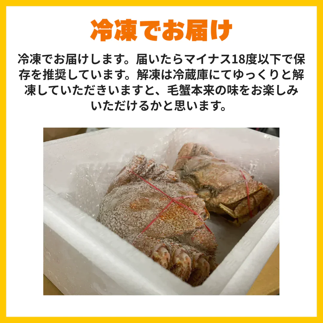 北海道産毛蟹 2尾パック 1尾あたり400~600g