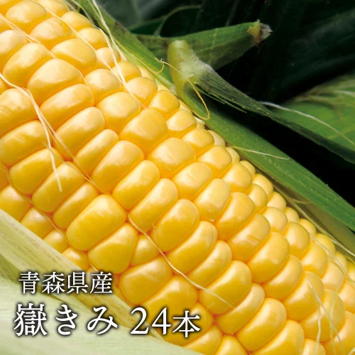 【朝採&産地直送！】青森県産 プレミアムとうもろこし 嶽きみ 24本セット とうもろこし だけきみ トウモロコシ 野菜