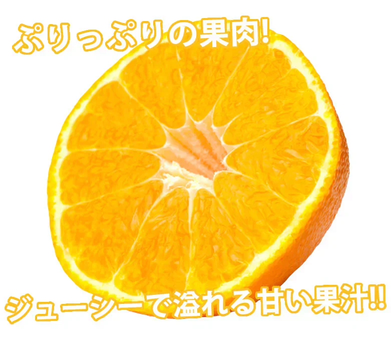 デコポン 同品種 特選デコみかん 送料無料 秀品2kg 希少な加温ハウス栽培 みかん 不知火 お取り寄せ ギフト フルーツ