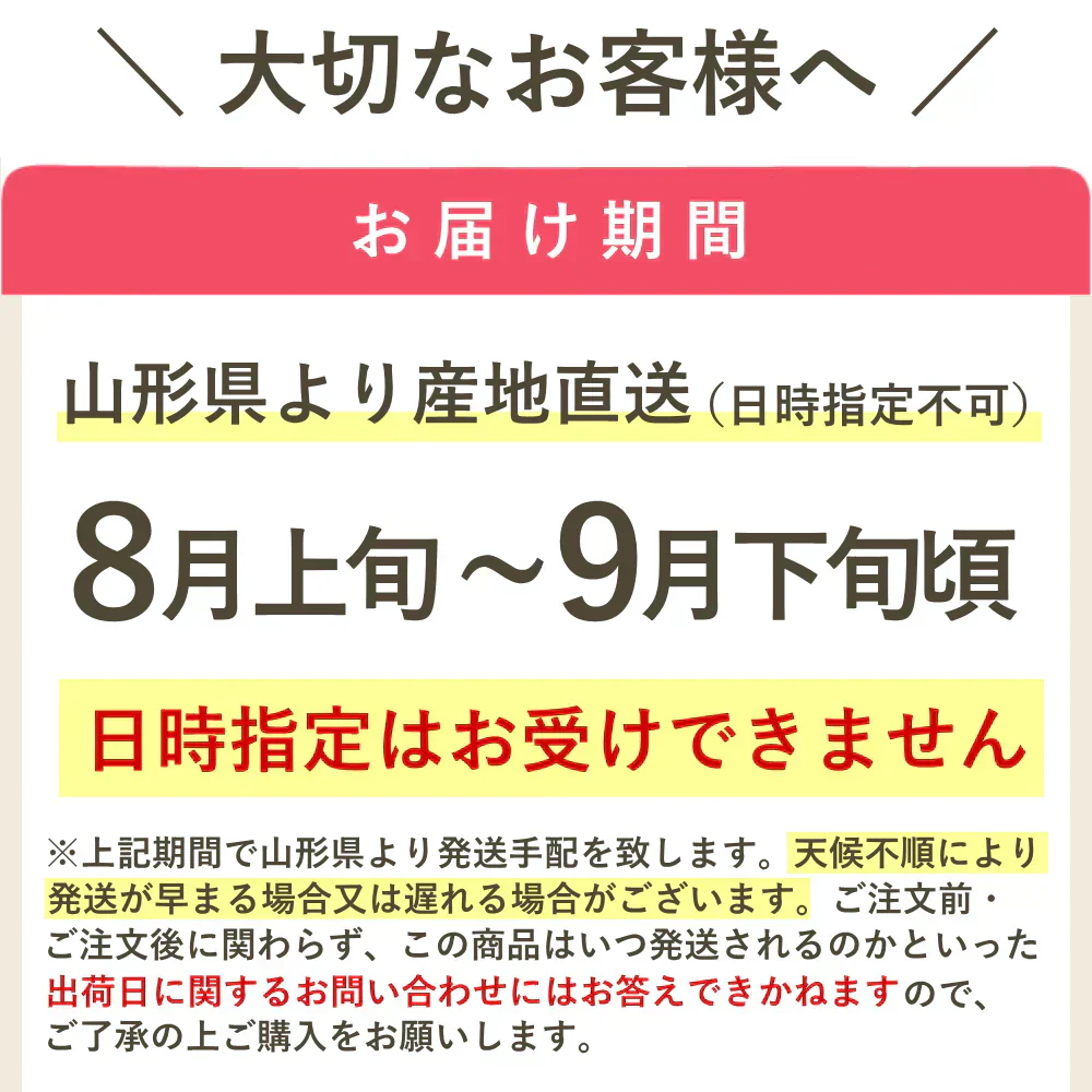【8月初旬から発送】ミニトマト ロッソナポリタン 1kg イタリアントマト フルーツトマト 高糖度トマト とまと 山形県産