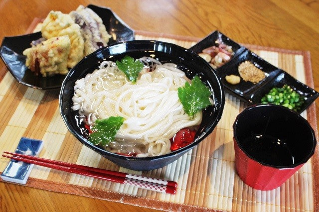 ざるうどん　お取り寄せ　九州ざる饂飩　210g×4袋　たっぷり　約8人前 セット 平打ち麺　つるつるモチモチ食感　熟成うどん麺　お試しグルメギフト