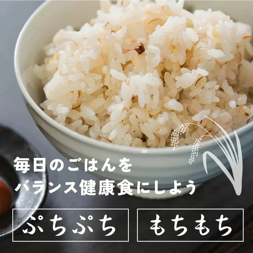 雑穀 雑穀米 国産 健康重視ヘルシーブレンド 24kg(400g×60袋) 無添加 無着色 業務用サイズ 送料無料