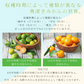みかん　極早生　2ｋｇ　ｆ極０2　家庭用　中玉　愛媛　吉田みかん　果物　フルーツ　柑橘