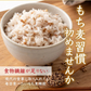 雑穀 雑穀米 国産 もち麦 2.4kg(400g×6袋) ファミリーサイズ 無添加 無着色 送料無料 ダイシモチムギ