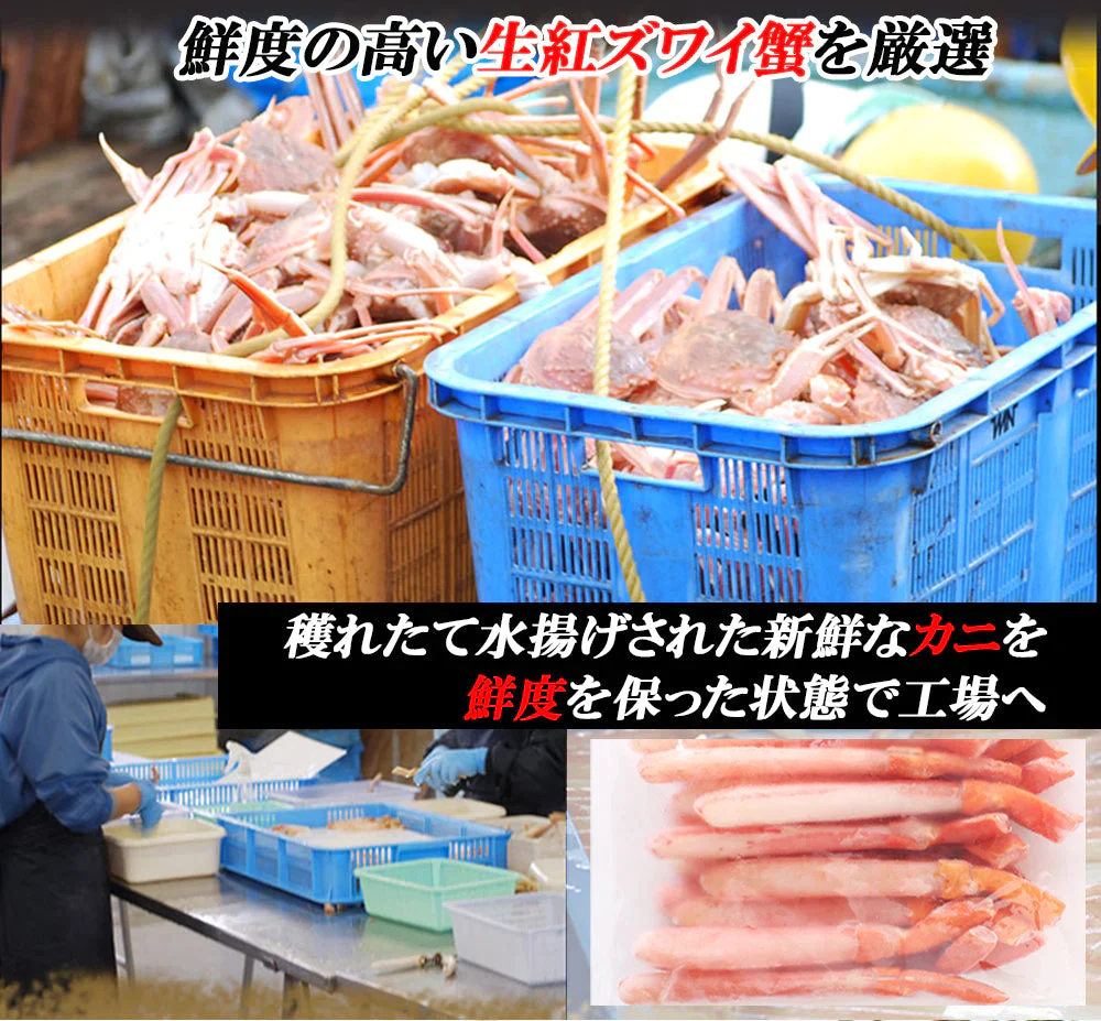 紅ズワイガニ 紅ズワイガニポーション 7L 1kg 紅ずわい蟹 かに カニ 蟹 むき身 生食 刺身 カニ足 年末年始 北海道産 shr-016
