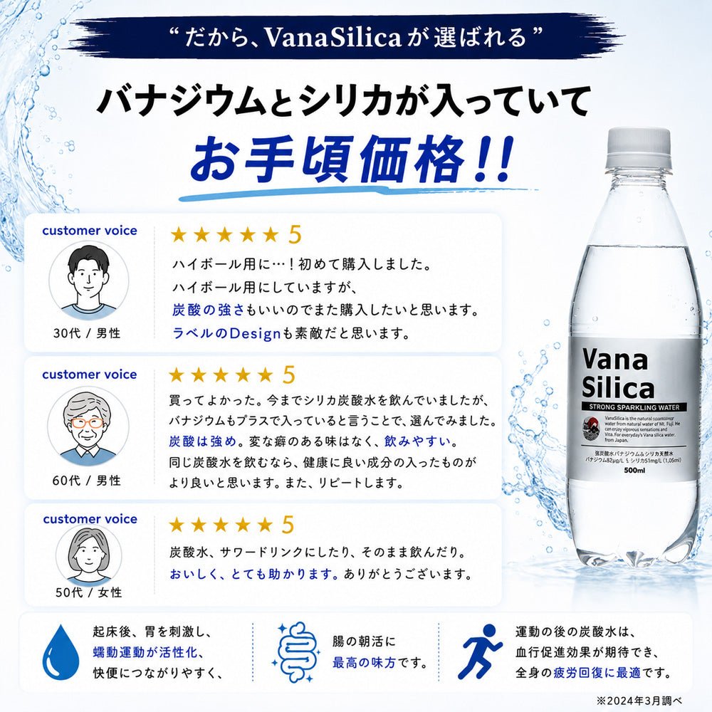 【 1ケース 】 富士山のバナジウム＆シリカ 強炭酸水 VanaSilica（バナシリカ） 500ml 24本 プレーン