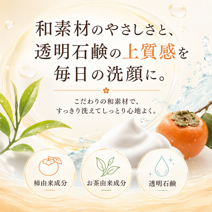 ＼気になる加齢臭を消す／ 石鹸 せっけん ボディソープ 柿渋 カテキン カキタンニン 体臭 男性 女性 加齢臭 足の臭い 脇のニオイ 殺菌 加齢臭対策 ボディケア / カキチャタンニンソープ 100g