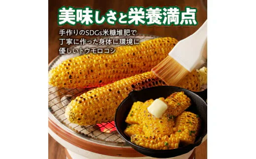 農家直送！メロンより甘い！博多あまっコーン4.5㎏（約12本）（冷凍）