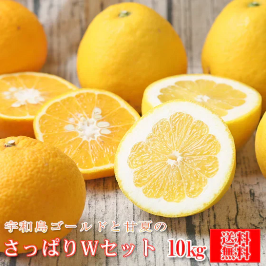 宇和島ゴールドと甘夏のさっぱりＷセット　10kg（各5kgずつ）（f ゴ05甘05）（葉傷・枝傷・黒点のあるものが含まれます）（愛媛県産）（送料無料）河内晩柑 美生柑 愛南ゴールド 夏文旦 甘夏 みかん