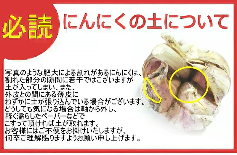 令和7年度産 青森県産にんにく 1㎏ 訳あり 並級C品 Mサイズ以上大玉混合 福地ホワイト六片種