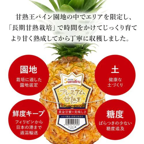 【一時休売】甘熟王ゴールドプレミアムパイン 2玉