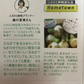 訳あり新玉ねぎ5kg🧅シャーロットオニオン　今が旬 淡路島極熟玉葱 送料無料 たまねぎ タマネギ