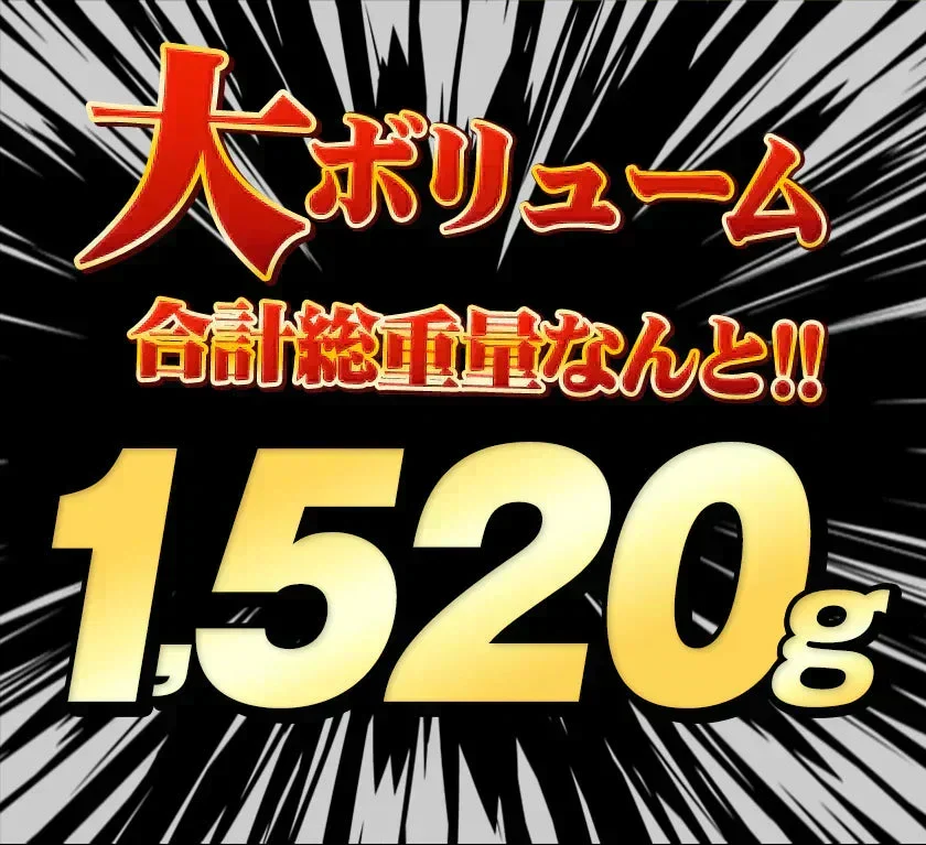 総重量1,520g! お肉5種 バラエティセット 肉 豚肉 鶏肉 ハンバーグ 5種 大容量 肉 福袋 切り落とし 豚ミンチ 国産 豚 ミンチ うまかチキン 若鶏 モモ肉 むね肉 デミグラス  《1-3営業日以内に発送予定（土日祝除く）》