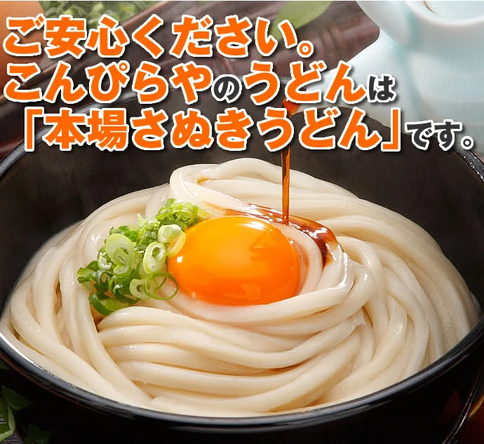 本場さぬきうどん「讃岐麺維新」（36人前）つゆ無し