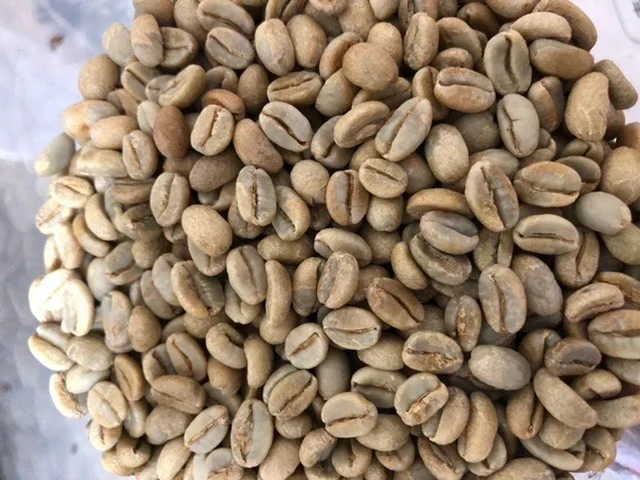 【定番】お得‼️モカ（サハマ農園）　🇪🇹エチオピア🇪🇹 ナチュラル 450g　豆　送料無料