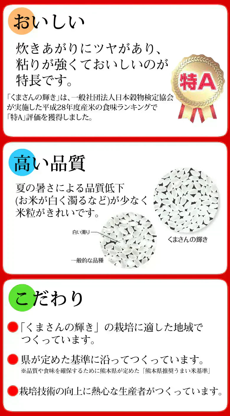 くまさんの輝き 無洗米 送料無料 計900g（300g×3袋） お試し 令和6年産 熊本県産 お米 白米 玄米 コシヒカリ ヒノヒカリ 森のくまさん