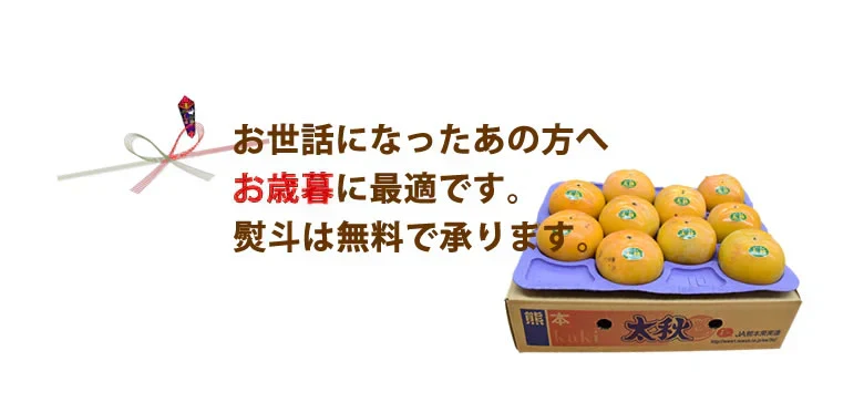 【10月下旬～11月上旬頃より順次出荷】太秋柿 柿 送料無料 秀品3kg 8～14玉入り 熊本・福岡県産 太秋 かき カキ