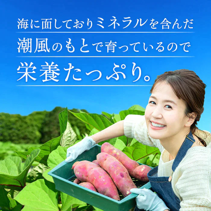 国産 紅はるか 冷凍 焼き芋 1kg 冷やし やきいも さつまいも 無添加 茨城県産 べにはるか 冷凍焼き芋 冷凍焼きいも 焼きいも さつまいもスイーツ 芋 スイーツ お菓子 さつま芋 和スイーツ 健康 ギフト プレゼント 贈り物 送料無料 絶品 高級 お取り寄せ Y1