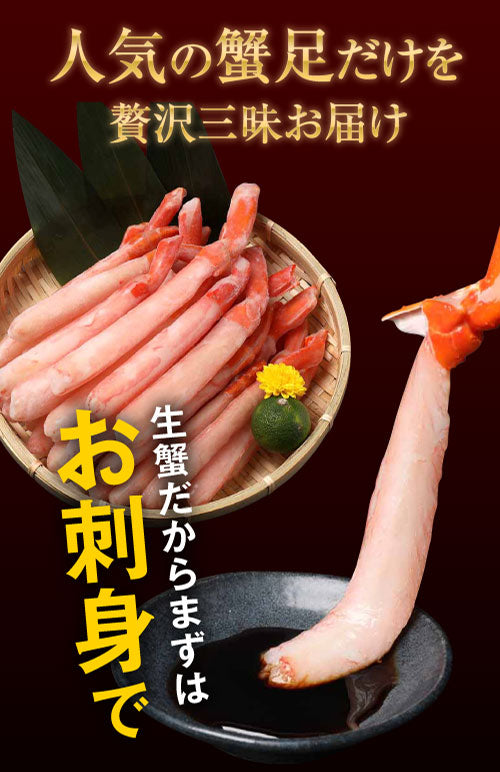生 紅ズワイガニ カニ足 ポーション 800g ズワイガニ カニ 蟹 かに 生食 刺身 日時指定不可