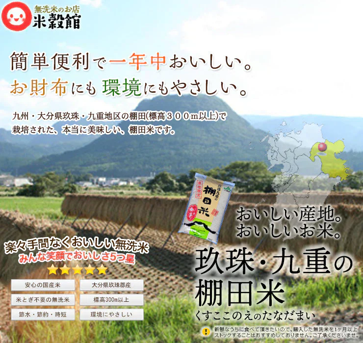 令和7年産 無洗米 10kg 九州産 無洗米 2kg 小分け いろいろ小袋セット 送料無料 10kg九州のお米だけ無洗米 2kg×5個