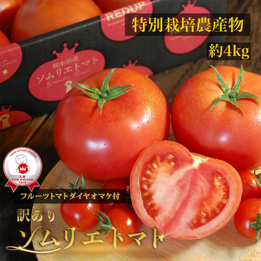 予約２０２６年１月下旬から順次発送【特別栽培農産物】＼訳あり／ソムリエ トマト 4～5kg（18玉～36玉)ダイヤのオマケ付き