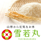 新米 令和5年産 山形県産 雪若丸 精米 10kg(5kg×2) 送料無料※一部地域を除く