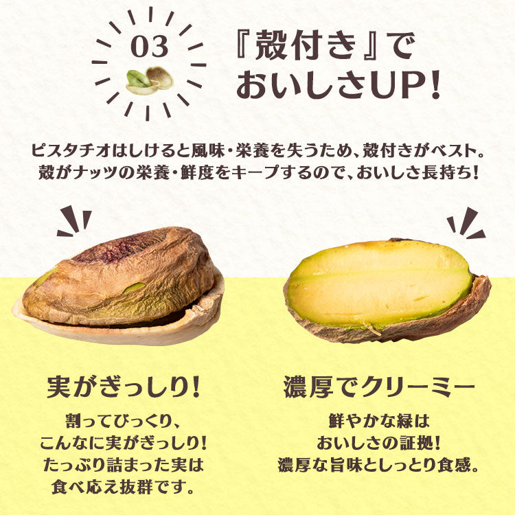 【カートアップNG】ピスタチオ（殻付き）有塩 500g ナッツ ピスタチオ 油不使用 有塩 おやつ おつまみ 宅のみ 間食