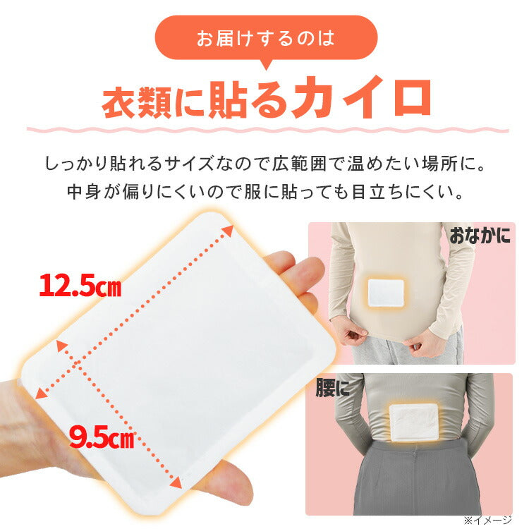 【カートアップNG】【2個セット】カイロ 貼る レギュラー 30枚×2個 ぽかぽか家族 PKN-30HR貼るカイロ レギュラーサイズ 使い捨てカイロ 使い捨て あったかグッズ 冷え冬 持ち運び 運動 レジャー スポーツ スポーツ観戦 屋外作業 アイリスオーヤマ