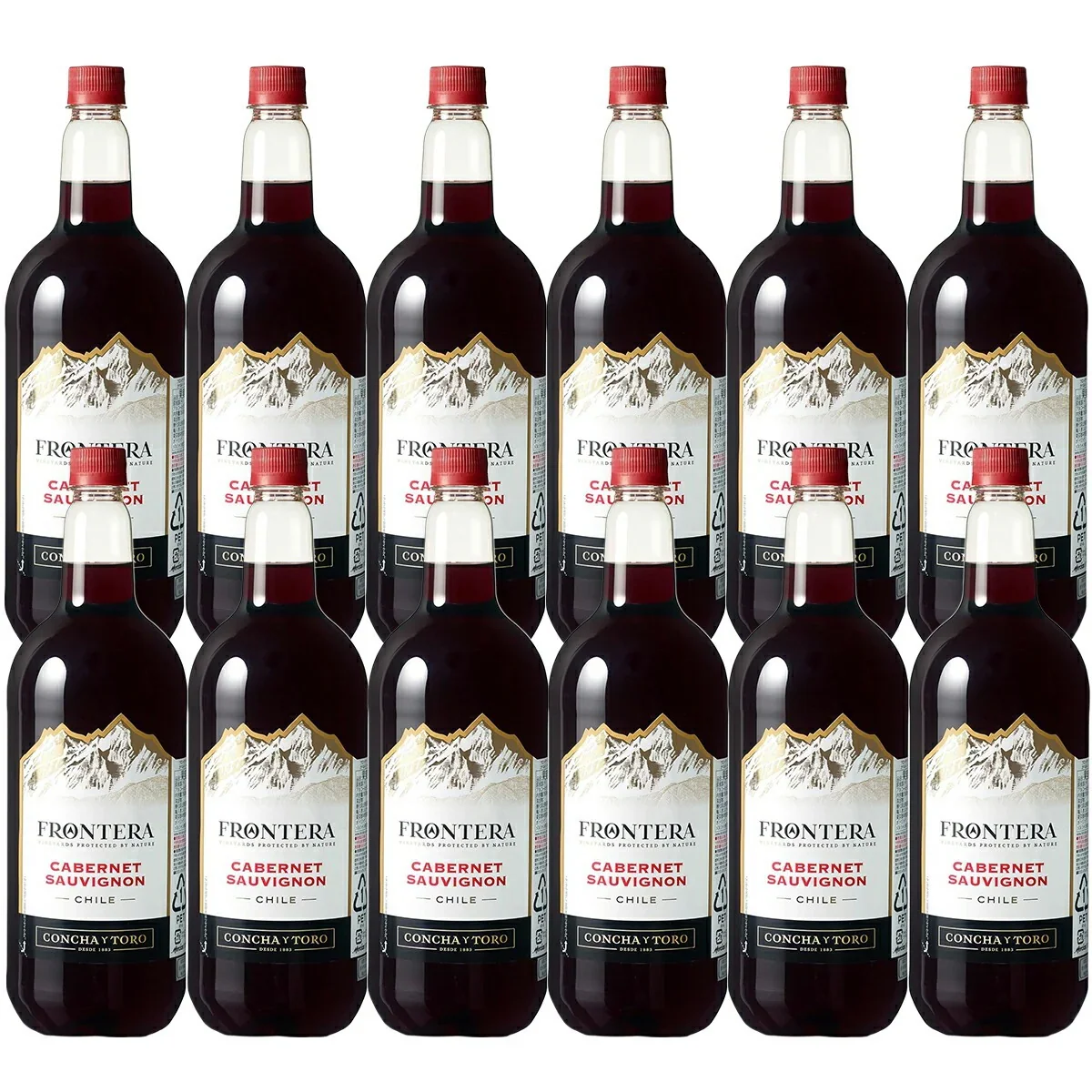 【送料無料】コンチャ・イ・トロ フロンテラカベルネ・ソーヴィニヨン 1500ml 1.5L×12本【北海道・沖縄県・東北・四国・九州地方は必ず送料が掛かります】